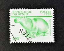 Cancelled Postage Stamp Printed By Benin, That Shows Hippopotamus (Hippopotamus Amphibius), Circa 1999.