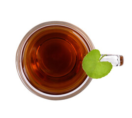 Wall Mural - tea Centella asiatica, Asiatic Pennywort hot tea in a glass on transparent  got Centella asiatica leave on a glass; photographed tea top view.