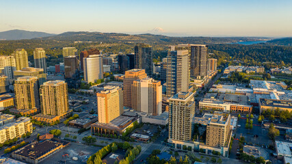 Wall Mural - Aerial Views of Bellevue City Washington, USA