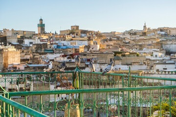 Wall Mural - Medina of Fez skyline with pigeons resting on rooftop terrace at sunset, Fez, Morocco