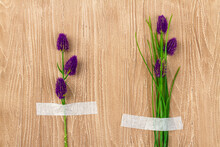 Two Purple Flowers Attached To A Wooden Desk. Herbs Patched To The Table.