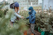 A young mother and her son are buying a Christmas tree. Outdoor Family Choosing Christmas Tree Together.