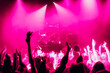 A crowd of rockers light up under pink spotlights, with pink smoke billowing - giving an energetic and passionate atmosphere.
