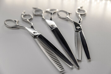 Set of professional grooming scissors