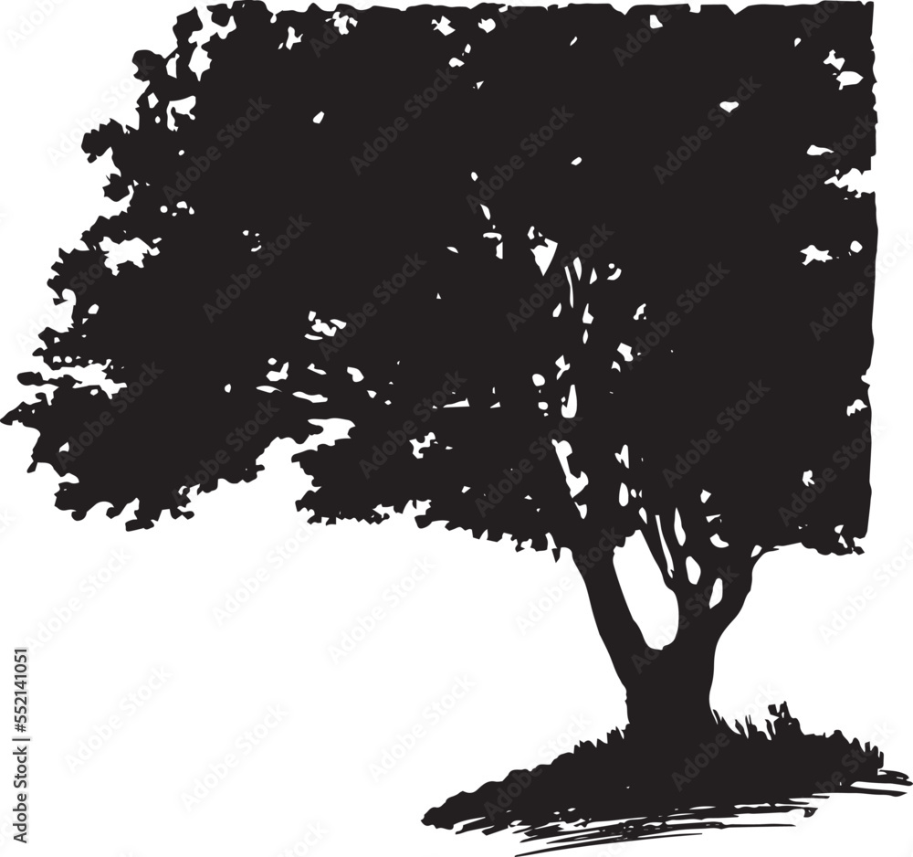 Seagrape Tree Vector Sea Grape Tree Vector Stock Vector | Adobe Stock