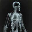 X-ray image of a body- Generative AI