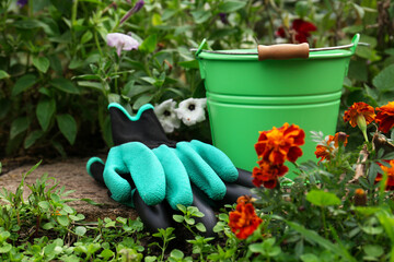 Gardening gloves and green bucket near flowers outdoors