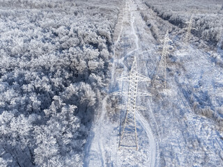 Wall Mural - High-voltage power lines through the winter forest.