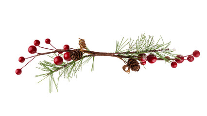 Fir branch, with branches of red berries and snow isolated. christmas tree.Christmas green spruce branch,   decoration red berries holly. green fir tree branch, isolated on transparent background png