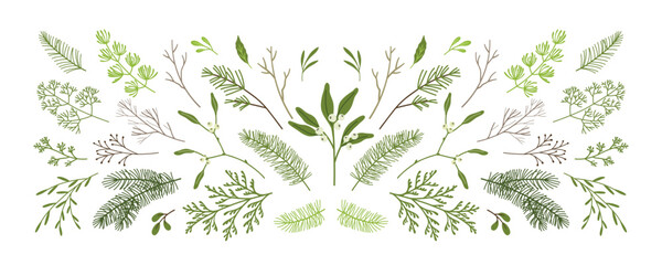 Christmas winter plants, mistletoe, branches of pine, spruce, fir, leaves, twigs. Holiday hand drawn decoration. vector illustration isolated on white background