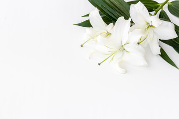  Flowers heads of white lilies. Floral mock up. Mourning or funeral background
