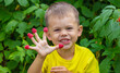 © Anna - A happy little child is eating a raspberry and holding a basket with a berry.