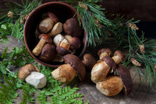 Imleria Badia Or Boletus Badius Mushrooms Commonly Known As The Bay Bolete And Porcini Mushroom Commonly Known As Boletus Edulis, Clay Bowl With Mushrooms On Vintage Wooden Background..
