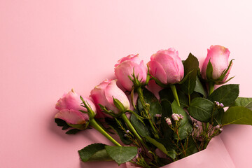 Composition of roses on pink background