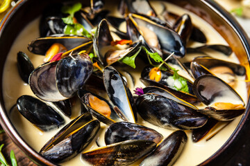 Blue mussels in cream wine sauce. Delicious healthy Italian traditional food closeup served for lunch in modern gourmet cuisine restaurant