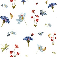 Insect Flower Daisy Pattern Sketch A Watercolor