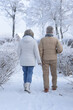 © aletia2011 - Elderly couple walks in nature in winter. Rear view.