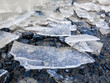 Broken ice shards in a puddle on the ground during wintertime