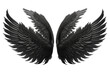Leinwandbild Motiv Black angel wing