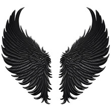 Black Angel Wing