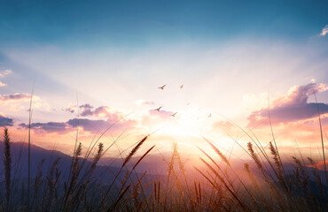 Wall Mural - dramatic evening sky with clouds and rich sunny light
