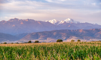 Sticker - landscape with mountains