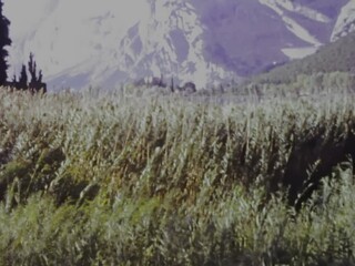 Wall Mural - Italy 1973, Alps peak landscape