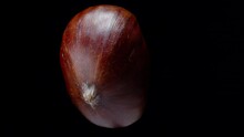 Chestnut Nut, Rotating On A Black Background, Close-up