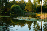 Fototapeta Pomosty - Jezioro o zachodzie słońca z pływającymi kaczkami