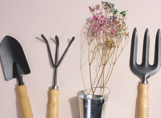 Wall Mural - Garden tools for processing beds in the garden on a beige background