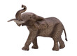 © JuanJos - elephant isolated on white png