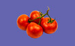 Tomatoes are red with a green stem on a purple background