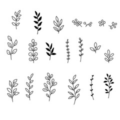 Wall Mural - plant branches and leaves illustration set, hand drawn design elements