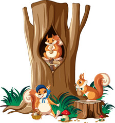Wall Mural - three squirrels eating nuts in garden