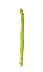 Wall Mural - asparagus isolated on transparent png