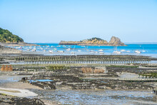 Low Tide In Oyster Farm, Cancale, France