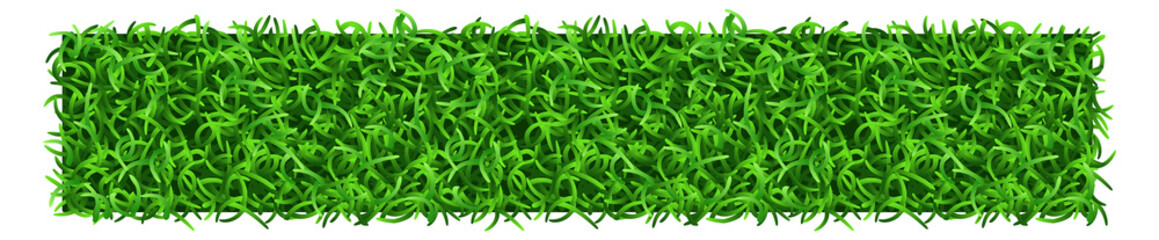 realistic grass. green fresh natural lawn patch