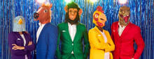 Group Of Strange People At Costume Party. Team Of Funny Confident People Wearing Different Bright Colourful Stylish Suits And Surreal Bizarre Carnival Animal Masks Standing Together On Blue Background