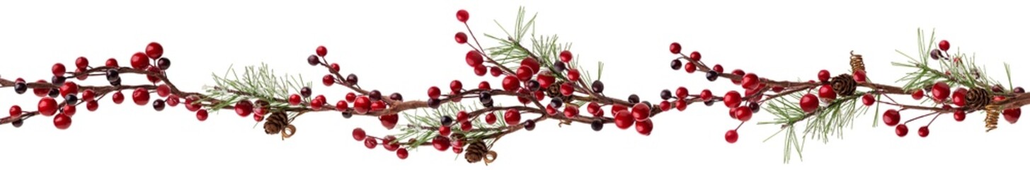 Wall Mural - decorative bord with branches of red berries and snow isolated. christmas tree.Christmas green spruce branch, decoration red berries holly.green fir tree branch, isolated on transparent background png