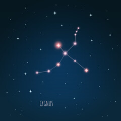 Wall Mural - vector illustration cygnus constellation. dark blue sky, starry sky, outer space, starlight.