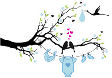 New Baby Boy, Clothesline With Birds On A Tree, Illustration Over A Transparent Background, PNG Image 