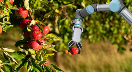 Autocollant - robot arm is working in the smart farm. Digital transformation of farming.	