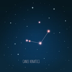 Wall Mural - constellation canes venatici scheme in starry sky. open space. vector illustration canes venatici co