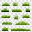 set of green grass