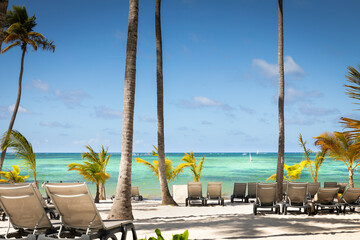 Canvas Print - Bavaro Tropical beach in Punta Cana, Caribbean sea, Dominican Republic