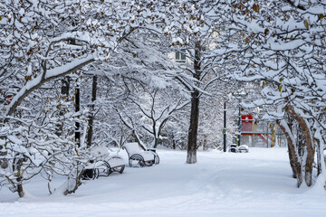 Wall Mural - Snow-covered city park after a snowfall. Beautiful winter landscape. View of snow-covered ground, path, trees, bushes and benches. Cold snowy weather. White pure snow. Amazing winter time.
