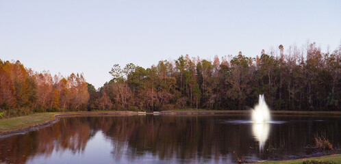 Wall Mural - A Florida community pond in winter