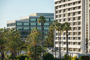 Wall Mural - Palm framed view of the downtown skyline of Torrance, California, USA.