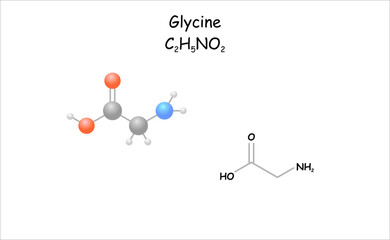 Wall Mural - Stylized 2d molecule model/structural formula of glycine. Use as flavour enchancer.