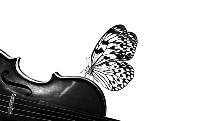 Wall Mural - music concept. bright butterfly and violin on a white background, black and white